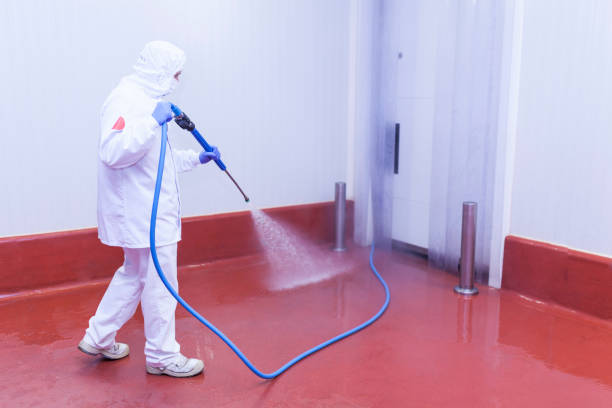 Best Playground Equipment Cleaning  in Triana, AL